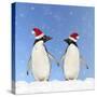 Adelie Penguin Holding Hands Wearing Christmas Hats-null-Stretched Canvas