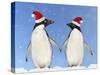 Adelie Penguin Holding Hands Wearing Christmas Hats-null-Stretched Canvas