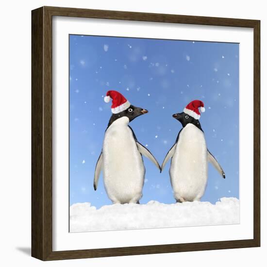 Adelie Penguin Holding Hands Wearing Christmas Hats-null-Framed Photographic Print