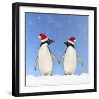 Adelie Penguin Holding Hands Wearing Christmas Hats-null-Framed Photographic Print