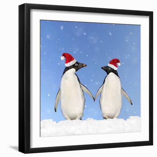 Adelie Penguin Holding Hands Wearing Christmas Hats-null-Framed Photographic Print