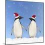 Adelie Penguin Holding Hands Wearing Christmas Hats-null-Mounted Photographic Print