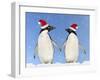 Adelie Penguin Holding Hands Wearing Christmas Hats-null-Framed Photographic Print