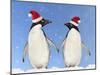 Adelie Penguin Holding Hands Wearing Christmas Hats-null-Mounted Photographic Print