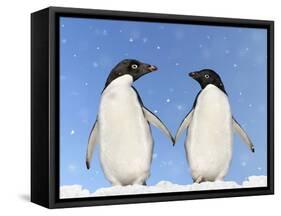 Adelie Penguin Holding Hands-null-Framed Stretched Canvas