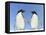 Adelie Penguin Holding Hands-null-Framed Stretched Canvas