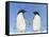 Adelie Penguin Holding Hands-null-Framed Stretched Canvas