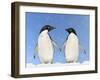 Adelie Penguin Holding Hands-null-Framed Photographic Print