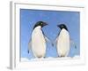 Adelie Penguin Holding Hands-null-Framed Photographic Print