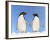 Adelie Penguin Holding Hands-null-Framed Photographic Print