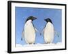 Adelie Penguin Holding Hands-null-Framed Photographic Print