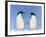 Adelie Penguin Holding Hands-null-Framed Photographic Print