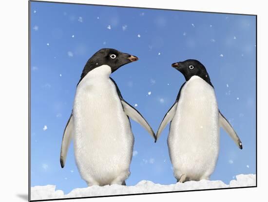 Adelie Penguin Holding Hands-null-Mounted Photographic Print