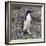 Adelie Penguin in Frei Station South Shetland Islands, Antarctica-William Perry-Framed Photographic Print