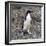 Adelie Penguin in Frei Station South Shetland Islands, Antarctica-William Perry-Framed Photographic Print