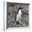 Adelie Penguin in Frei Station South Shetland Islands, Antarctica-William Perry-Framed Photographic Print