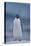 Adelie Penguin on Ice-Theo Allofs-Stretched Canvas