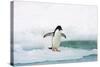 Adelie Penguin on Iceberg-null-Stretched Canvas
