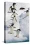 Adelie Penguin on Iceberg-null-Stretched Canvas