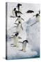 Adelie Penguin on Iceberg-null-Stretched Canvas