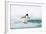 Adelie Penguin on Iceberg-null-Framed Photographic Print