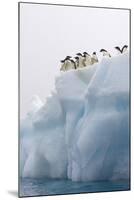 Adelie Penguin on Iceberg-null-Mounted Photographic Print