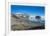 Adelie penguin (Pygoscelis adeliae) colony in Hope Bay, Antarctica, Polar Regions-Michael Runkel-Framed Photographic Print