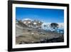 Adelie penguin (Pygoscelis adeliae) colony in Hope Bay, Antarctica, Polar Regions-Michael Runkel-Framed Photographic Print