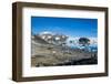 Adelie penguin (Pygoscelis adeliae) colony in Hope Bay, Antarctica, Polar Regions-Michael Runkel-Framed Photographic Print