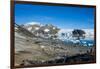 Adelie penguin (Pygoscelis adeliae) colony in Hope Bay, Antarctica, Polar Regions-Michael Runkel-Framed Photographic Print