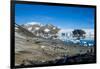 Adelie penguin (Pygoscelis adeliae) colony in Hope Bay, Antarctica, Polar Regions-Michael Runkel-Framed Photographic Print