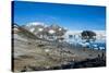 Adelie penguin (Pygoscelis adeliae) colony in Hope Bay, Antarctica, Polar Regions-Michael Runkel-Stretched Canvas