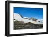 Adelie penguin (Pygoscelis adeliae) colony in Hope Bay, Antarctica, Polar Regions-Michael Runkel-Framed Photographic Print