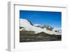 Adelie penguin (Pygoscelis adeliae) colony in Hope Bay, Antarctica, Polar Regions-Michael Runkel-Framed Photographic Print