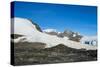 Adelie penguin (Pygoscelis adeliae) colony in Hope Bay, Antarctica, Polar Regions-Michael Runkel-Stretched Canvas