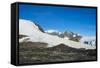 Adelie penguin (Pygoscelis adeliae) colony in Hope Bay, Antarctica, Polar Regions-Michael Runkel-Framed Stretched Canvas