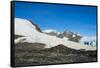 Adelie penguin (Pygoscelis adeliae) colony in Hope Bay, Antarctica, Polar Regions-Michael Runkel-Framed Stretched Canvas