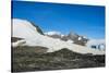 Adelie penguin (Pygoscelis adeliae) colony in Hope Bay, Antarctica, Polar Regions-Michael Runkel-Stretched Canvas