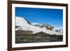 Adelie penguin (Pygoscelis adeliae) colony in Hope Bay, Antarctica, Polar Regions-Michael Runkel-Framed Photographic Print