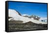 Adelie penguin (Pygoscelis adeliae) colony in Hope Bay, Antarctica, Polar Regions-Michael Runkel-Framed Stretched Canvas