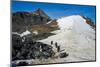 Adelie penguin (Pygoscelis adeliae) colony in Hope Bay, Antarctica, Polar Regions-Michael Runkel-Mounted Photographic Print