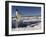 Adelie Penguin (Pygoscelis Adeliae) Leaping from Water, Antarctica. Small Reproduction Only-Fred Olivier-Framed Photographic Print