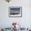 Adelie Penguin (Pygoscelis Adeliae) Leaping from Water, Antarctica. Small Reproduction Only-Fred Olivier-Framed Photographic Print displayed on a wall