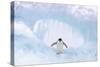 Adelie Penguin Standing on Ice, Wings Spread-null-Stretched Canvas