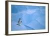 Adelie Penguin Walking on Ice Floe-DLILLC-Framed Photographic Print