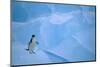 Adelie Penguin Walking on Ice Floe-DLILLC-Mounted Photographic Print