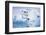 Adelie Penguin-DLILLC-Framed Photographic Print