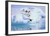 Adelie Penguin-DLILLC-Framed Photographic Print