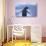 Adelie Penguin-DLILLC-Photographic Print displayed on a wall