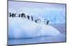 Adelie Penguin-DLILLC-Mounted Photographic Print